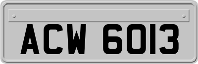 ACW6013
