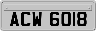 ACW6018