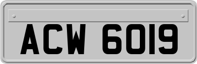 ACW6019