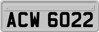 ACW6022