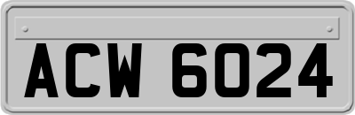 ACW6024