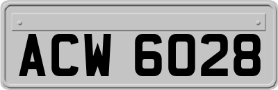 ACW6028