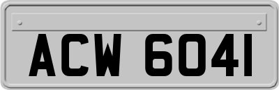 ACW6041
