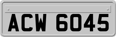 ACW6045