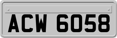 ACW6058