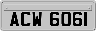 ACW6061