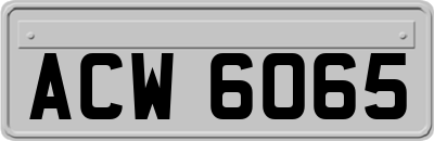 ACW6065