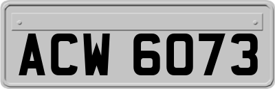 ACW6073