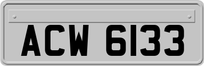 ACW6133