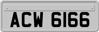 ACW6166