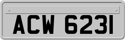 ACW6231