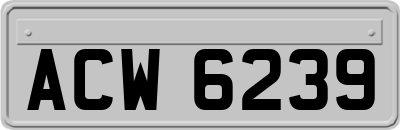 ACW6239