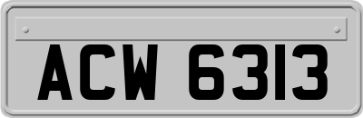 ACW6313