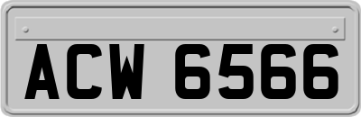ACW6566