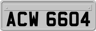 ACW6604