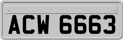 ACW6663