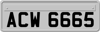 ACW6665