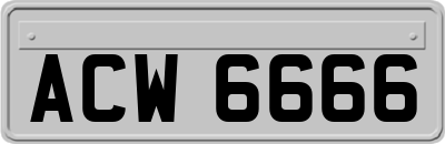 ACW6666