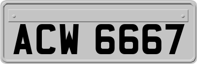 ACW6667