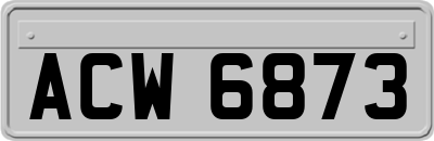 ACW6873