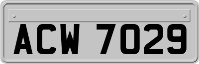 ACW7029