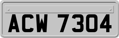 ACW7304