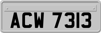 ACW7313