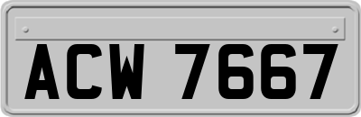 ACW7667