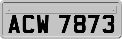 ACW7873