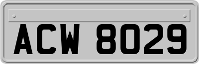 ACW8029