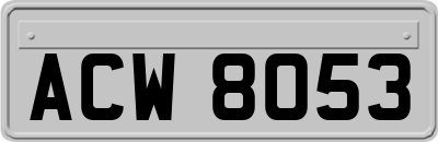 ACW8053