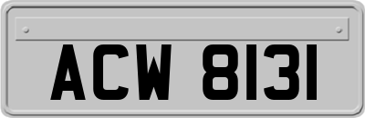 ACW8131