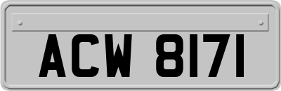 ACW8171