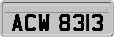 ACW8313