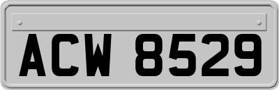 ACW8529