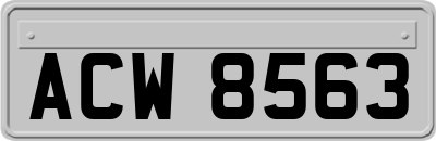 ACW8563
