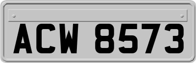 ACW8573