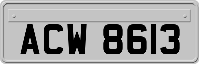 ACW8613
