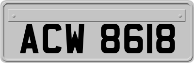 ACW8618