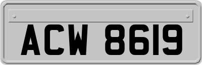 ACW8619