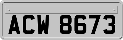ACW8673