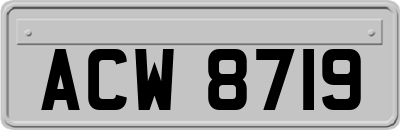 ACW8719