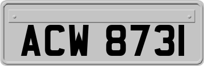 ACW8731