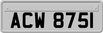 ACW8751