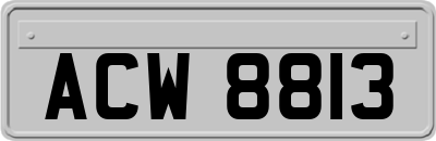 ACW8813