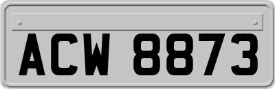 ACW8873