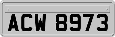 ACW8973