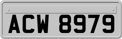 ACW8979