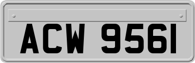 ACW9561