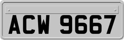 ACW9667